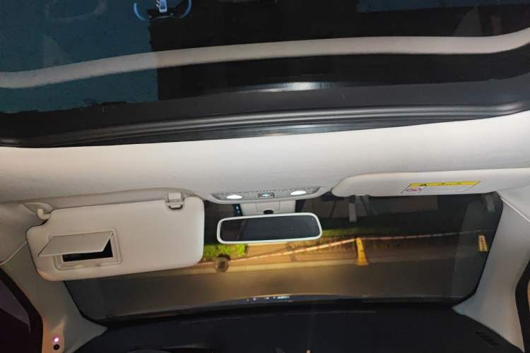 Used Leapmotor T03 2021 400 Luxury Edition Headliner