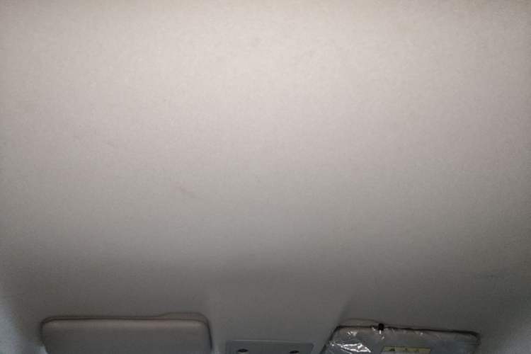 Used Leapmotor T03 2021 400 Lite Edition Lithium Iron Phosphate Headliner