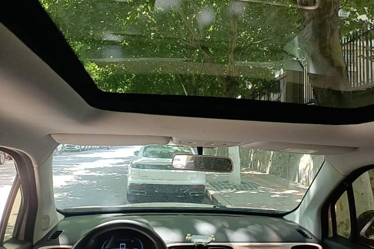 Used Leapmotor T03 2021 400 Comfort Edition Headliner