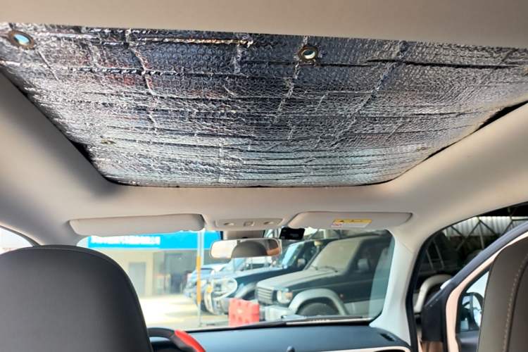 Used Leapmotor T03 2021 400 Luxury Edition Headliner