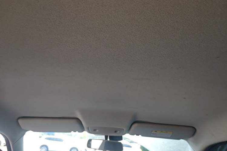 Used Leapmotor T03 2021 400 Lite Edition Lithium Iron Phosphate Headliner