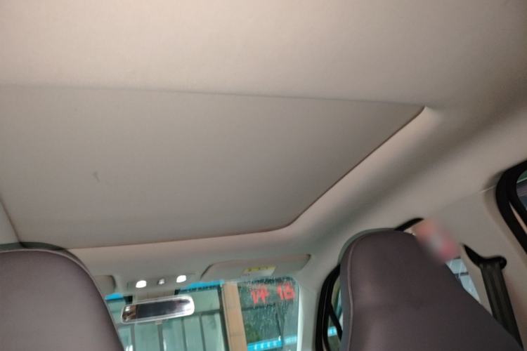 Used Leapmotor T03 2021 400 Luxury Edition Headliner