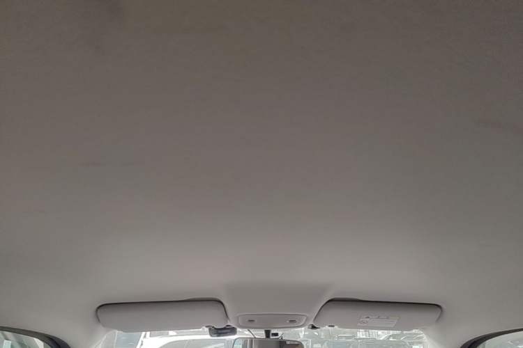 Used Leapmotor T03 2021 400 Micro-Sugar Version Headliner