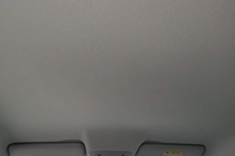 Used Leapmotor T03 2021 400 Micro-Sugar Version Headliner