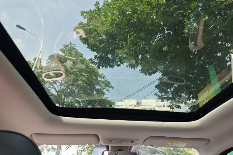 Used Leapmotor T03 2021 400 Luxury Edition Headliner