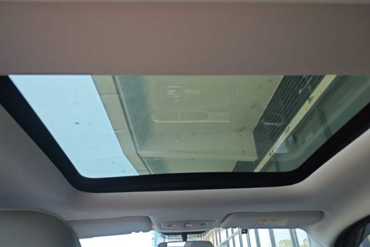 Used Leapmotor T03 2021 400 Comfort Edition Headliner