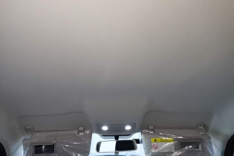 Used Leapmotor T03 2021 400 Lite Edition - Lithium-Ion Battery Headliner