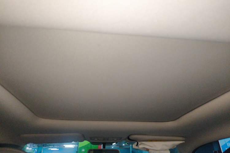 Used Leapmotor T03 2021 400 Comfort Edition Headliner