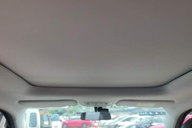 Used Leapmotor T03 2021 400 Comfort Edition Headliner