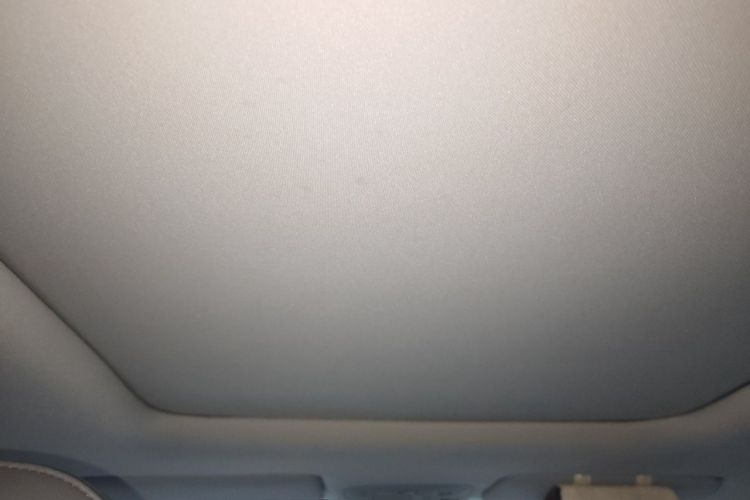 Used Leapmotor T03 2021 400 Luxury Edition Headliner
