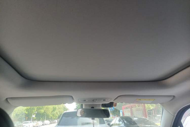 Used Leapmotor T03 2021 400 Luxury Edition Headliner