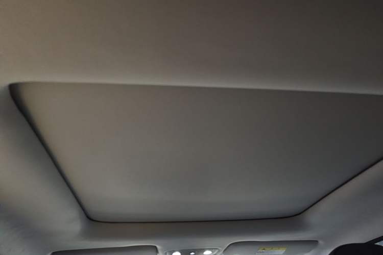 Used Leapmotor T03 2021 400 Luxury Pro Edition Headliner