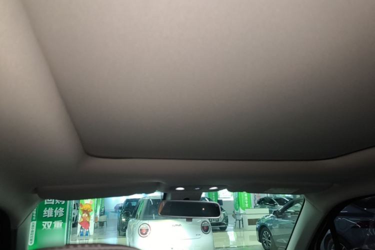 Used Leapmotor T03 2021 400 Luxury Pro Edition Headliner