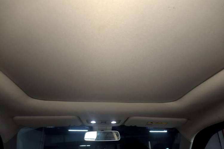 Used Leapmotor T03 2021 400 Luxury Edition Headliner