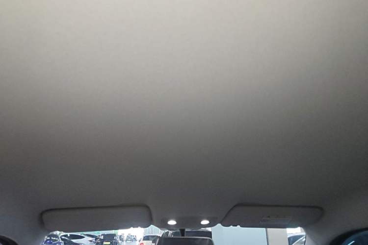 Used Leapmotor T03 2021 400 Lite Edition - Lithium-Ion Battery Headliner