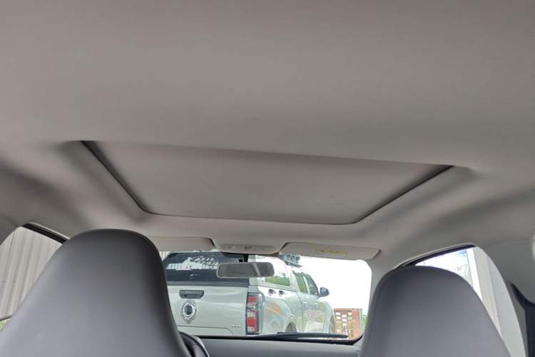Used Leapmotor T03 2021 400 Comfort Edition Headliner