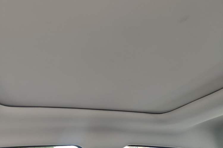 Used Leapmotor T03 2021 400 Luxury Pro Edition Headliner