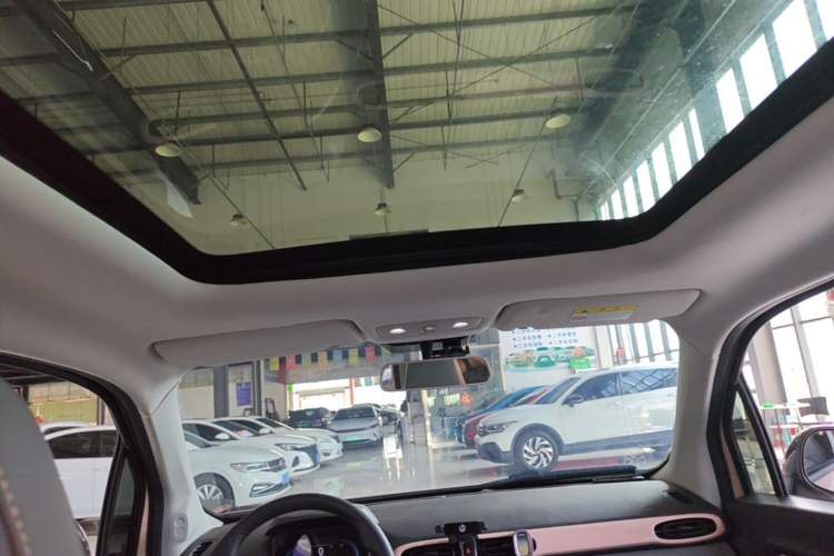 Used Leapmotor T03 2021 400 Comfort Edition Headliner