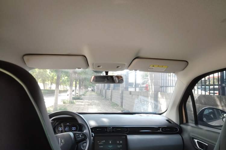 Used Leapmotor T03 2021 400 Lite Edition Lithium Iron Phosphate Headliner