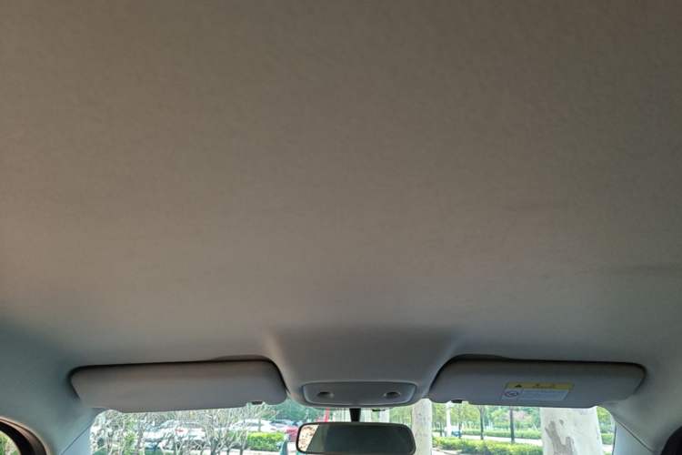 Used Leapmotor T03 2021 400 Lite Edition Lithium Iron Phosphate Headliner