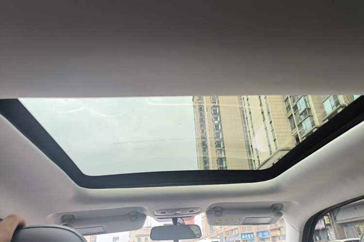 Used Leapmotor T03 2021 400 Comfort Edition Headliner
