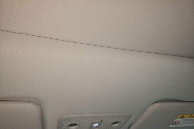 Used Leapmotor T03 2021 400 Luxury Edition Headliner