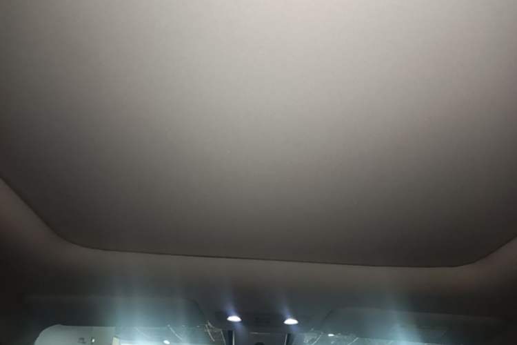 Used Leapmotor T03 2021 400 Luxury Edition Headliner