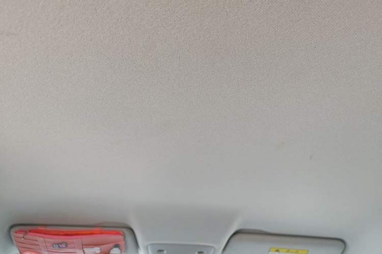 Used Leapmotor T03 2021 400 Lite Edition Lithium Iron Phosphate Headliner