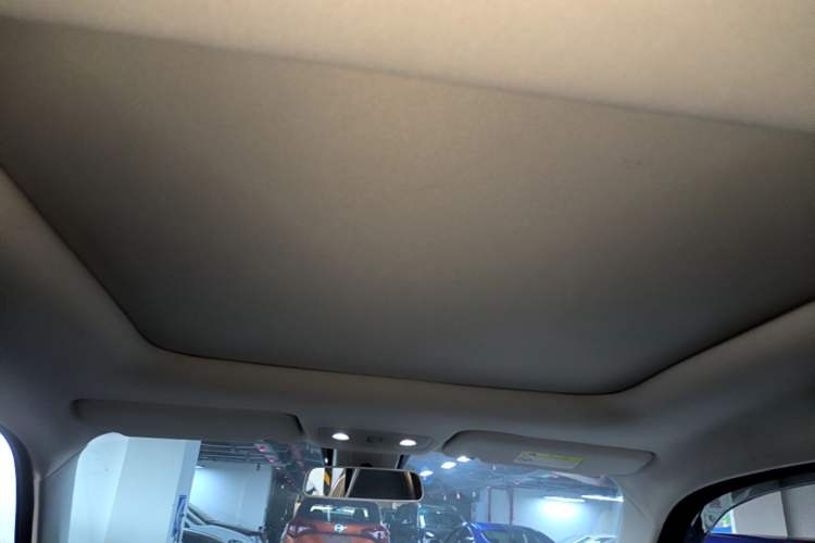 Used Leapmotor T03 2021 400 Luxury Edition Headliner