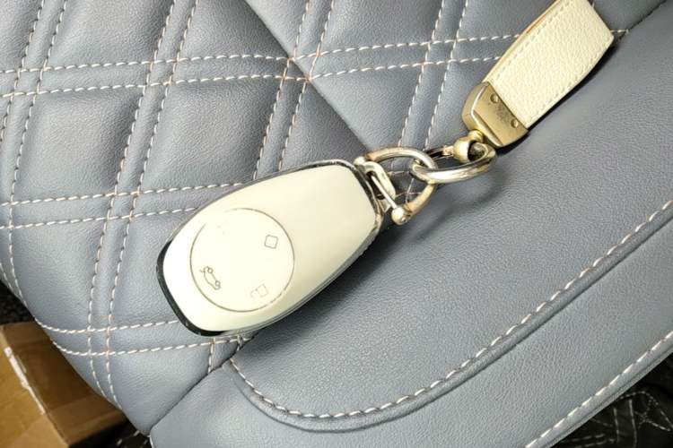 Used Leapmotor T03 2021 400 Comfort Edition Interior 1