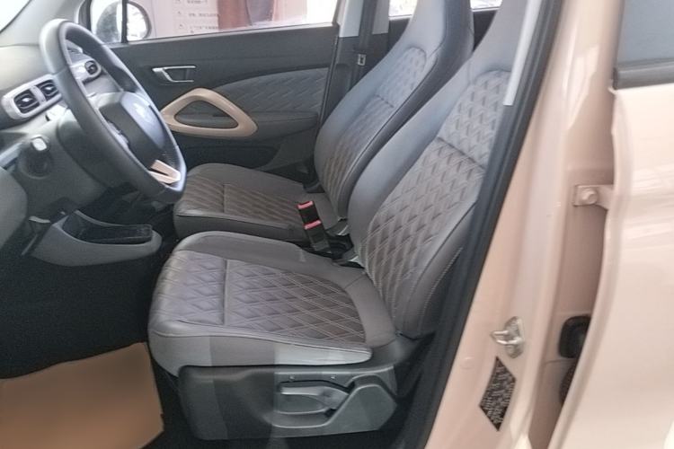 Used Leapmotor T03 2021 400 Luxury Edition Left Front Seat