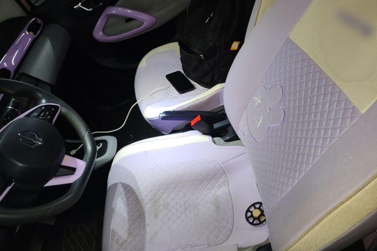 Used Leapmotor T03 2021 400 Micro-Sugar Version Left Front Seat