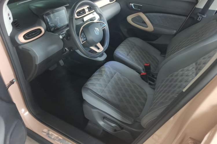 Used Leapmotor T03 2021 400 Luxury Pro Edition Left Front Seat