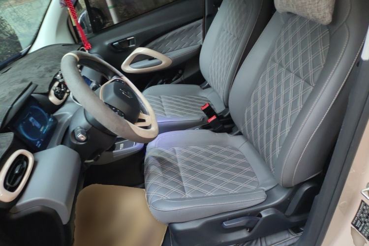Used Leapmotor T03 2021 400 Luxury Edition Left Front Seat