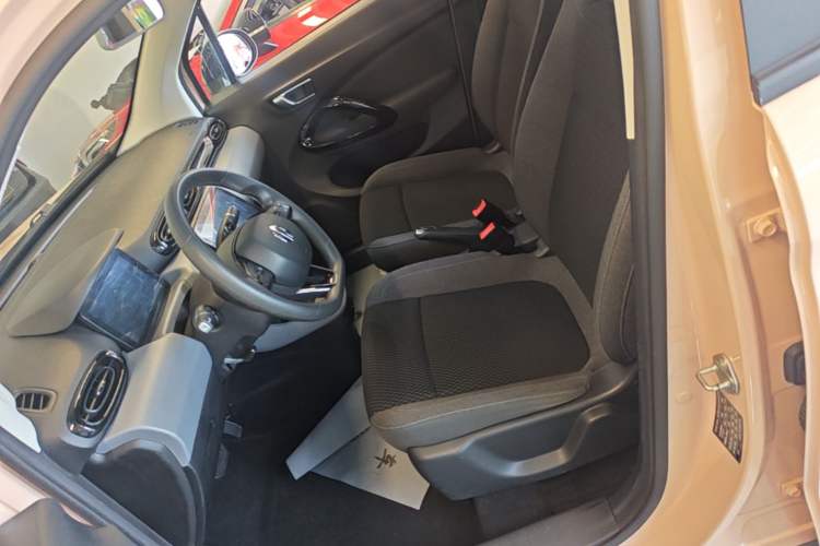Used Leapmotor T03 2021 400 Micro-Sugar Version Left Front Seat