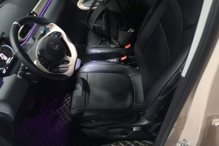 Used Leapmotor T03 2021 400 Luxury Edition Left Front Seat