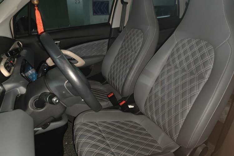 Used Leapmotor T03 2021 400 Luxury Edition Left Front Seat