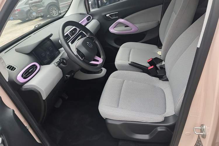 Used Leapmotor T03 2021 400 Micro-Sugar Version Left Front Seat