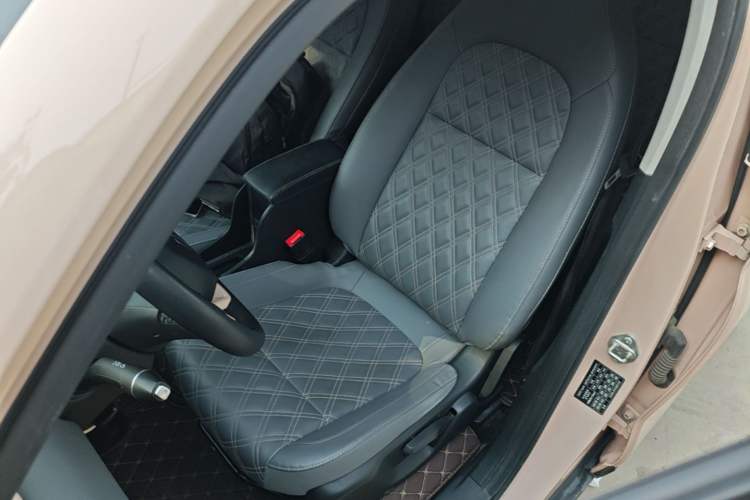 Used Leapmotor T03 2021 400 Luxury Edition Left Front Seat