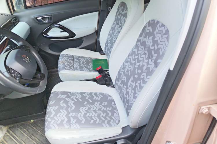Used Leapmotor T03 2021 400 Luxury Pro Edition Left Front Seat