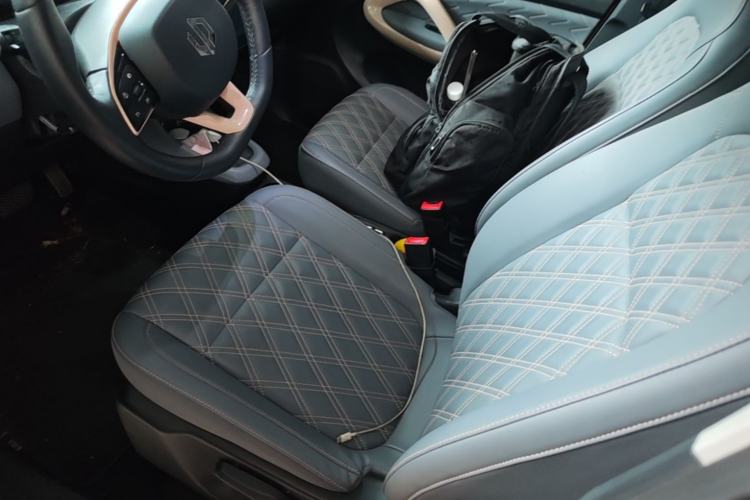 Used Leapmotor T03 2021 400 Luxury Pro Edition Left Front Seat