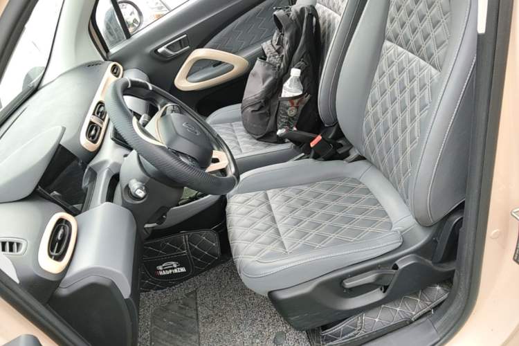 Used Leapmotor T03 2021 400 Comfort Edition Left Front Seat