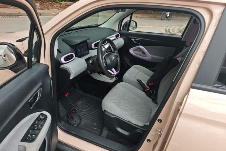 Used Leapmotor T03 2021 400 Micro-Sugar Version Left Front Seat