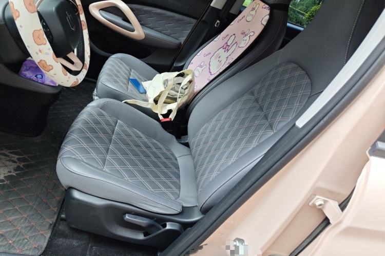 Used Leapmotor T03 2021 400 Luxury Edition Left Front Seat