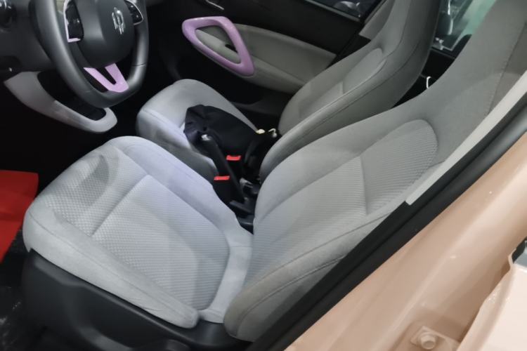 Used Leapmotor T03 2021 400 Micro-Sugar Version Left Front Seat