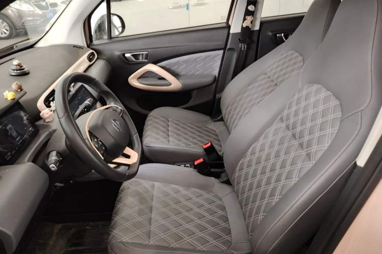 Used Leapmotor T03 2021 400 Luxury Edition Left Front Seat