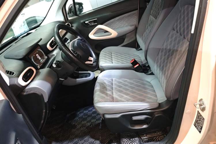 Used Leapmotor T03 2021 400 Luxury Edition Left Front Seat