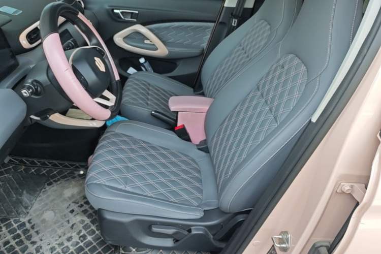 Used Leapmotor T03 2021 400 Comfort Edition Left Front Seat