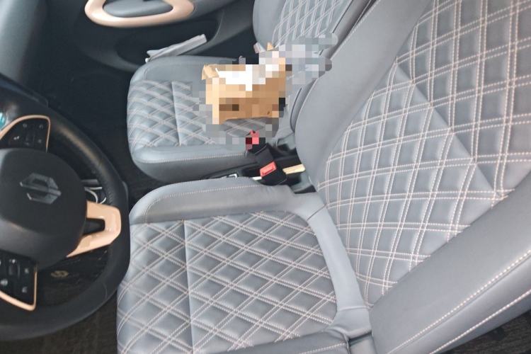Used Leapmotor T03 2021 400 Luxury Edition Left Front Seat