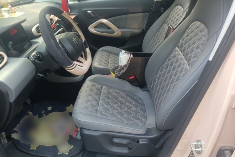 Used Leapmotor T03 2021 400 Luxury Edition Left Front Seat